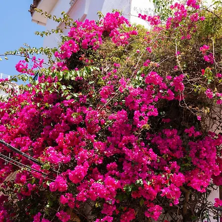 Rincon Del Sol Al Lado De La Playa Con Parking Y Piscina 332 Lägenhet *