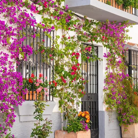 Apartamento Rincón Del Sol Al Lado De La Playa Con Parking Y Piscina 332 *