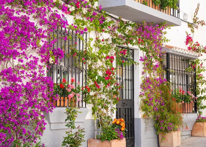Apartamento Rincón Del Sol Al Lado De La Playa Con Parking Y Piscina 332 *